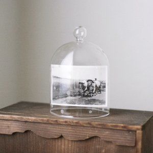 Small Etched Glass Cloche/Terrarium/Glass Cover/Dome/Display